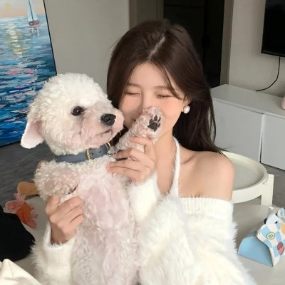 宿敌 第一季